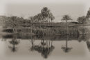 Nile #1
